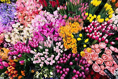 港服PS三档会员新增试玩游戏：《木卫四协议》